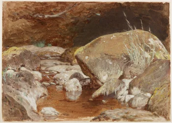 La piscine